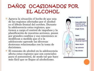 DAÑOS  OCASIONADOS POR EL ALCOHOL Agrava la situación el hecho de que una de las regiones afectadas por el alcohol es el lóbulo frontal del cerebro. Durante la adolescencia estas regiones, que tienen a cargo el control de impulsos y la planificación de nuestras acciones, pasan por grandes cambios y sus conexiones se modifican a medida que el o la adolescente aprende las diversas destrezas relacionadas con la toma de decisiones.  El consumo de alcohol en la adolescencia afecta estas regiones que son esenciales para el autocontrol, de modo tal que hace más fácil que se llegue al alcoholismo.  
