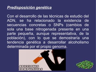 Predisposición genética
Con el desarrollo de las técnicas de estudio del
ADN, se ha relacionado la existencia de
secuencias concretas o SNPs (cambios de
sola una base nitrogenada presente en una
parte pequeña, aunque representativa, de la
población), con lo que se demostraría una
tendencia genética a desarrollar alcoholismo
determinada por el propio genoma.
 
