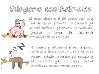 El tercer efecto es el del cerdo: "Acá hay
una depresión franca". La persona ya
no está eufórica y tiende a ser violenta,
agresiva y torpe. Se desprende
totalmente de su contexto.
El cuarto y último es el del perezoso:
sería una dosis mucho más alta, más
de una botella de Néctar por ejemplo y
la persona ya no tiene buena
movilidad en sus extremidades.
 