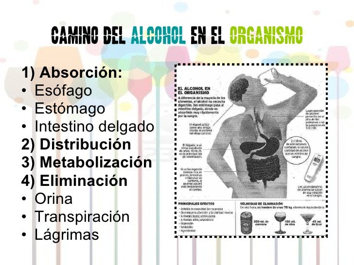 La foto el alcoholismo son la honestidad