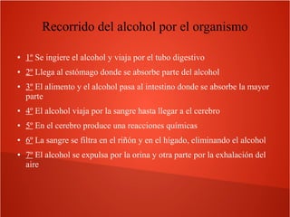 Recorrido del alcohol por el organismo
●

1º Se ingiere el alcohol y viaja por el tubo digestivo

●

2º Llega al estómago donde se absorbe parte del alcohol

●

3º El alimento y el alcohol pasa al intestino donde se absorbe la mayor
parte

●

4º El alcohol viaja por la sangre hasta llegar a el cerebro

●

5º En el cerebro produce una reacciones químicas

●

6º La sangre se filtra en el riñón y en el hígado, eliminando el alcohol

●

7º El alcohol se expulsa por la orina y otra parte por la exhalación del
aire

 