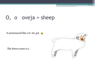 O, o oveja = sheep
The letters name is o
Is pronounced like o in lot, got
 