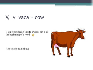 V, v vaca = cow
I´ts pronounced v inside a word, but b at
the beginning of a word
The letters name i uve
 