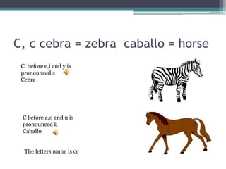 C, c cebra = zebra caballo = horse
C before e,i and y is
pronounced s
Cebra
C before a,o and u is
pronounced k
Caballo
The letters name is ce
 