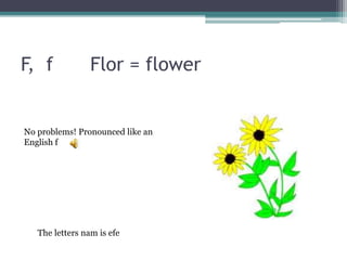 F, f Flor = flower
No problems! Pronounced like an
English f
The letters nam is efe
 