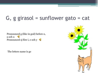 G, g girasol = sunflower gato = cat
Pronounced g (like in god) before o,
a och u
Pronounced sj före i, e och y
The letters name is ge
 