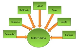 Sabor
SEROTONINA
Serenidad Sonrisa
Sabiduría Sexo
SueñoSilencio
 