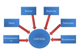 CORTISOLResentimien-
to
Rabia
Rencor Reproche
Represión
Resistencias
 