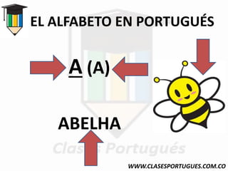 EL ALFABETO EN PORTUGUÉS
A (A)
ABELHA
WWW.CLASESPORTUGUES.COM.CO
 