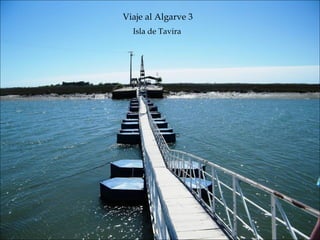 Isla de Tavira Viaje al Algarve 3 
