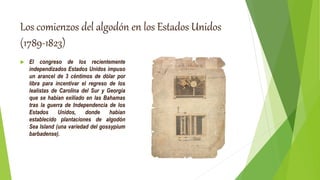Los comienzos del algodón en los Estados Unidos
(1789-1823)
 El congreso de los recientemente
independizados Estados Unidos impuso
un arancel de 3 céntimos de dólar por
libra para incentivar el regreso de los
lealistas de Carolina del Sur y Georgia
que se habían exiliado en las Bahamas
tras la guerra de Independencia de los
Estados Unidos, donde habían
establecido plantaciones de algodón
Sea Island (una variedad del gossypium
barbadense).
 
