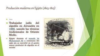 Producción moderna en Egipto (1805-1825)
 Antes
 Trabajador judío del
algodón en Jerusalén en
1880, usando las técnicas
tradicionales de Oriente
Medio.
 Egipto durante el reinado de
Muhammad Ali a comienzos del
siglo xix se convirtió en el quinto
mayor productor de algodón en el
mundo.
 