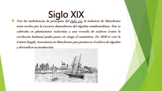 Siglo XIX
 Tras las turbulencias de principios del siglo xix, la industria de Mánchester
tenía recelos por la excesiva dependencia del algodón estadounidense. Este se
cultivaba en plantaciones esclavistas y una revuelta de esclavos (como la
revolución haitiana) podía poner en riesgo el suministro. En 1828 se creó la
Cotton SupplyAssociation en Mánchesterpara promoverel cultivo de algodón
ydiversificarsuproducción.
 
