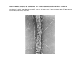 La hilatura de anillos produce un hilo más resistente, fino y suave. Es además la tecnología de hilatura más madura.
Hilo hilado con anillos en esta imagen al microscopio podemos ver claramente el ángulo helicoidal de la torsión que mantiene
unidas las fibras individuales de algodón.
 