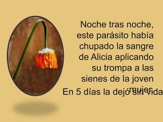 Noche tras noche,
   este parásito había
    chupado la sangre
    de Alicia aplicando
       su trompa a las
    sienes de la joven
En 5 días la dejómujer.
                   sin vida
 