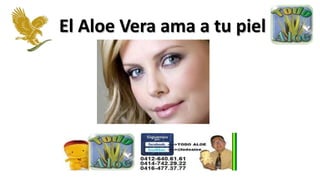 El Aloe Vera ama a tu piel
 