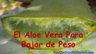 El Aloe Vera Para
Bajar de Peso
ParaQueSirveElAloeVera.com

 