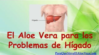 El Aloe Vera para los
Problemas de Hígado
ParaQueSirveElAloeVera.com
 