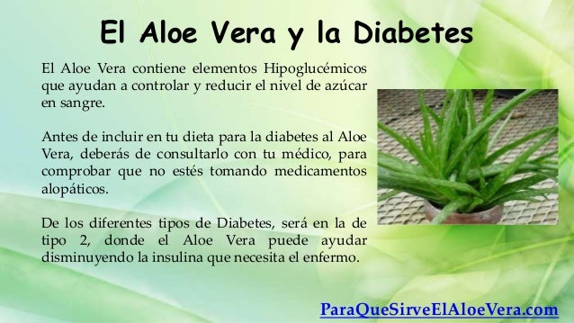 El aloe vera y la diabetes El aloe vera y la diabetes