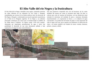 1
El Alto Valle del río Negro y la fruticultura
El Alto Valle del río Negro, entendido como región, comprende asimismo
los valles inferiores de sus tributarios los ríos Limay y Neuquén,
extendiéndose por encima de los límites políticos entre las provincias de
Río Negro y Neuquén y conformando una zona de especiales características
en el Norte de la Patagonia argentina. El río Negro y sus afluentes
principales constituyen una cuenca que se extiende desde la cordillera de
los Andes hasta el Atlántico. Su regular caudal -1.070 m3/s anuales-,
alimentado por importantes precipitaciones de agua y nieve, han
posibilitado el desarrollo de una zona densamente poblada y bajo
explotación a lo largo de ciento veinte kilómetros.
Esta área productiva comprende unas cien mil hectáreas, de las cuales
alrededor del sesenta por ciento se encuentra bajo riego. De ellas, se
cultivan poco más de cuarenta mil hectáreas, con una producción anual
estimada de setecientas mil toneladas de peras y manzanas destinadas
mayoritariamente a la exportación en fresco y a la industria de jugos
concentrados. A la producción de frutales de pepita -la más importante del
valle, le sigue la de uvas, que se destina casi totalmente a la fabricación de
vinos, y en menor medida la de frutales de carozo -ciruelas, duraznos,
pelones-, tomates y alfalfa.
 