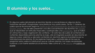 El aluminio y los suelos…
 En algunos suelos del planeta el aluminio tiende a concentrarse en algunos de los
horizontes del perfil, otorgándole características muy particulares. De los 11 órdenes de
suelos que se reconocen según la clasificación del Departamento de Agricultura de los
Estados Unidos, dos de ellos presentan una alta concentración de aluminio: los oxisoles,
que se desarrollan en latitudes tropicales y subtropicales y los spodosoles, que se hallan
en climas fríos y bajo vegetación de coníferas.31 En este tipo de suelos el contenido en
nutrientes disponibles para las plantas es bajo, sólo el magnesio puede ser abundante en
algunos casos; además su elevado contenido en aluminio agrava el problema por su
toxicidad para las plantas. En las regiones tropicales y subtropicales en las que se
presentan estos suelos lo habitual es que se cultiven plantas con bajas necesidades
nutritivas y con fuerte resistencia al aluminio, tales como el té, el caucho y la palma de
aceite
 