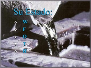  W
 F
 O
 T
 H
 