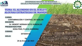 TEMA: EL ALUMINIO EN EL SUELO Y
ALGUNAS ESTRATEGIAS DE MANEJO
UNIVERSIDAD NACIONAL DE MOQUEGUA
ESCUELA PROFESIONAL DE INGENIERÍA AMBIENTAL
CURSO:
CONTAMINACIÓN Y CONTROL DE SUELOS
DOCENTE:
Dr. HEBERT HERNAN SOTO GONZALES
PRESENTADO POR:
SOSA PINO, FLAVIA ANDREINA
CODIGO:
2019205132
CICLO:
VII
20 de Enero del 2023
 