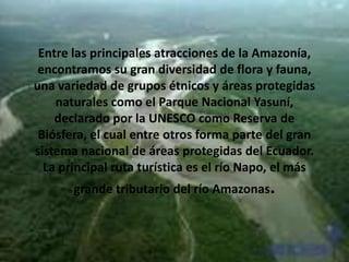 Entre las principales atracciones de la Amazonía,
encontramos su gran diversidad de flora y fauna,
una variedad de grupos étnicos y áreas protegidas
naturales como el Parque Nacional Yasuní,
declarado por la UNESCO como Reserva de
Biósfera, el cual entre otros forma parte del gran
sistema nacional de áreas protegidas del Ecuador.
La principal ruta turística es el río Napo, el más
grande tributario del río Amazonas.
 