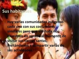 Sus habitantes
Hay varias comunidades indígenas
cada una con sus costumbres
similares pero que sin duda nos
muestran un agrado al momento de
visitar sus tierras santas,
invitándonos a compartir varias de
sus actividades.
 