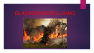 EL AMAZONAS EN LLAMAS
 