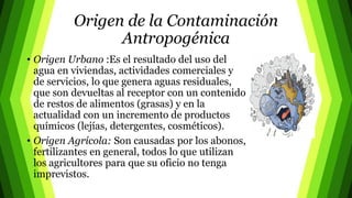 Origen de la Contaminación
Antropogénica
• Origen Urbano :Es el resultado del uso del
agua en viviendas, actividades comerciales y
de servicios, lo que genera aguas residuales,
que son devueltas al receptor con un contenido
de restos de alimentos (grasas) y en la
actualidad con un incremento de productos
químicos (lejías, detergentes, cosméticos).
• Origen Agrícola: Son causadas por los abonos,
fertilizantes en general, todos lo que utilizan
los agricultores para que su oficio no tenga
imprevistos.
 