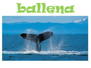 ballena