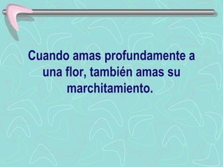 Cuando amas profundamente a una flor, también amas su marchitamiento.  