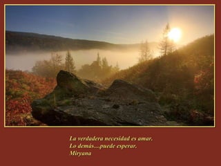 La verdadera necesidad es amar.  Lo demás…puede esperar.  Miryana 