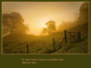 El  amor como el fuego, lo purifica todo. Alphonse Karr 