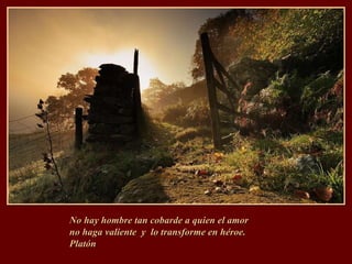 No hay hombre tan cobarde a quien el amor  no haga valiente  y  lo transforme en héroe.  Platón 