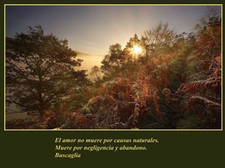 El amor no muere por causas naturales. Muere por negligencia y abandono.  Buscaglia 