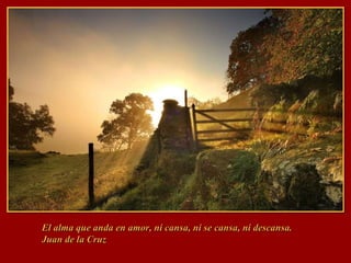 El alma que anda en amor, ni cansa, ni se cansa, ni descansa.  Juan de la Cruz 