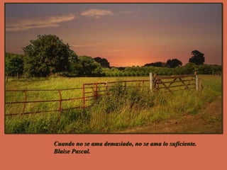 Cuando no se ama demasiado, no se ama lo suficiente.  Blaise Pascal. 