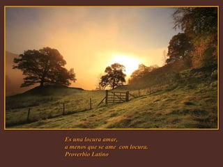 Es una locura amar,  a menos que se ame  con locura. Proverbio Latino 