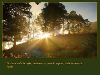 El Amor todo lo sufre, todo lo cree, todo lo espera, todo lo soporta.  Pablo 