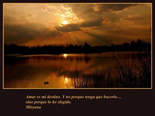 Amar es mi destino. Y no porque tenga que hacerlo… sino porque lo he elegido.  Miryana 