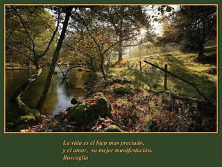 La vida es el bien mas preciado,  y el amor,  su mejor manifestación.  Buscaglia 