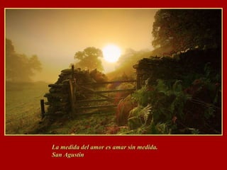 La medida del amor es amar sin medida.  San Agustin  