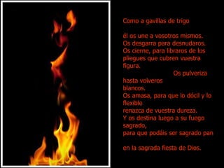Como a gavillas de trigo  él os une a vosotros mismos.  Os desgarra para desnudaros.  Os cierne, para libraros de los  pliegues que cubren vuestra  figura.  Os pulveriza hasta volveros  blancos. Os amasa, para que lo dócil y lo flexible  renazca de vuestra dureza.  Y os destina luego a su fuego  sagrado, para que podáis ser sagrado pan  en la sagrada fiesta de Dios.  