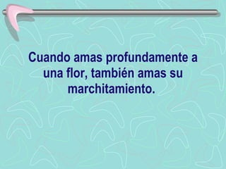 Cuando amas profundamente a una flor, también amas su marchitamiento.  