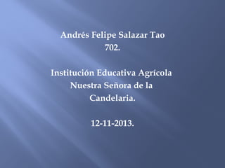Andrés Felipe Salazar Tao
702.
Institución Educativa Agrícola
Nuestra Señora de la
Candelaria.
12-11-2013.

 