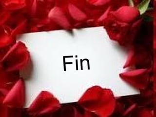 Fin 