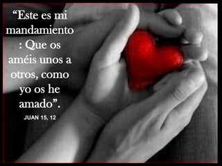“Este es mi mandamiento: Que os améis unos a otros, como yo os he amado”. JUAN 15, 12