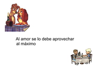 Al amor se lo debe aprovechar al máximo  